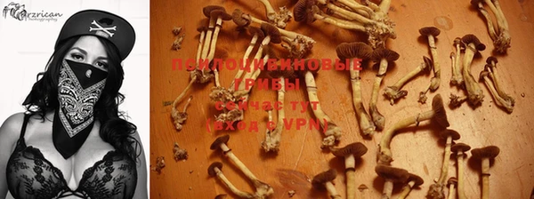герыч Абинск