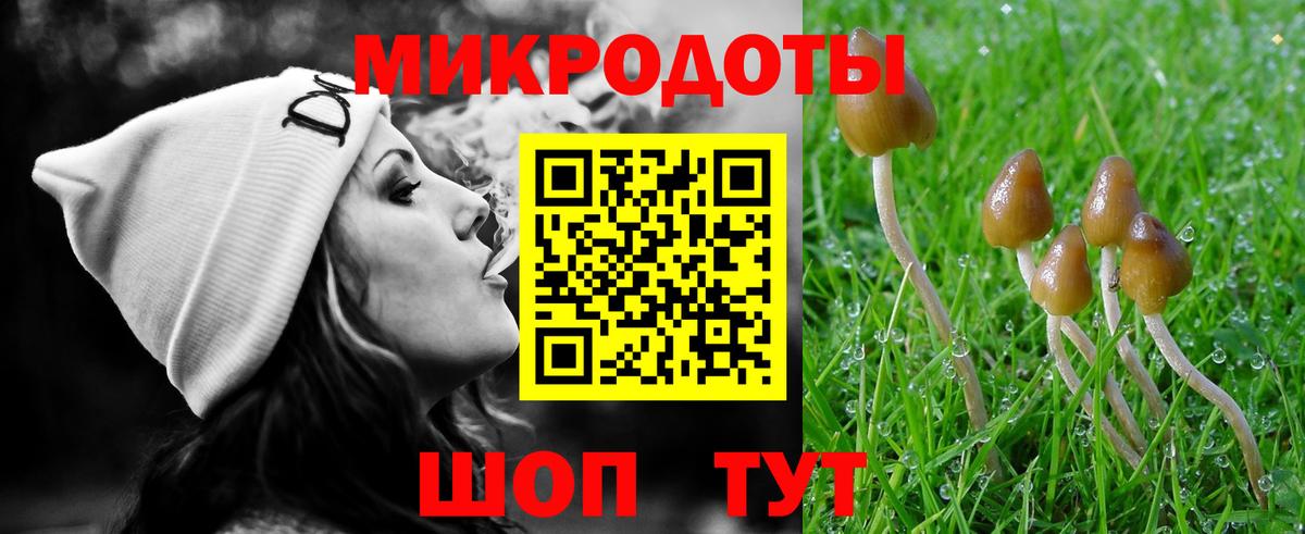 Галлюциногенные грибы мицелий Липецк